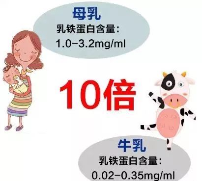 提升宝宝免疫力,就选乳铁蛋白,揭秘乳铁蛋白前世今生