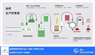 乳糖酶加工代工 普正生物科技 在线咨询 乳糖酶加工