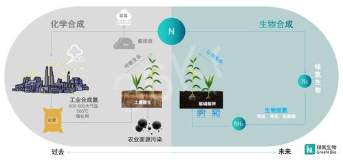 以合成生物固氮替代化肥, 绿氮生物 获源码资本千万元种子轮融资 36氪首发