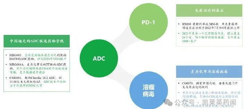 乐普生物 adc布局丰富,溶瘤病毒锋芒初现,adc io 溶瘤病毒未来可期