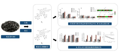 bev plant res 浙江大学农业与生物技术学院茶叶研究所屠幼英教授团队发表商品茶中两种afg的鉴定分析及抑菌作用