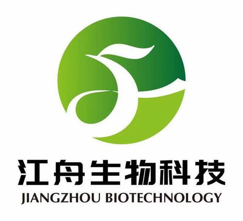 预糊化淀粉