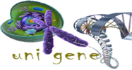 天津翼骏生物科技